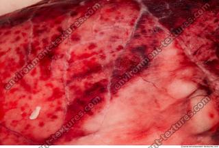 Photo Textures of RAW Pork Meat